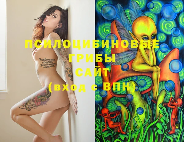 бутират Щигры