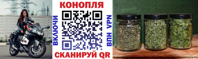 Купить  Нюрба  Каннабис VHQ 